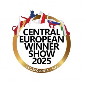 CEW logo