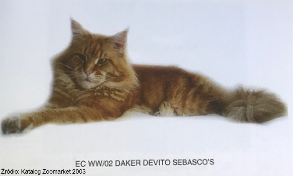 Daker