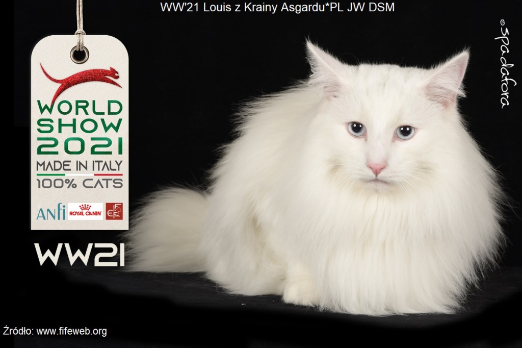 Louis z Krainy Asgardu