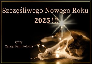 NY2025
