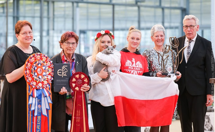 WW Blękitek1